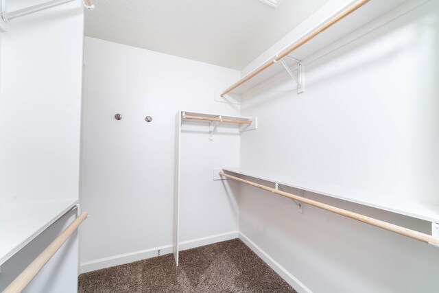 4810 Mcmickle Dr, Columbia, MO 65203 - photo 28