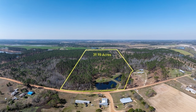 126 Oscar Patton Ests, Ambrose, GA 31512 - photo 2