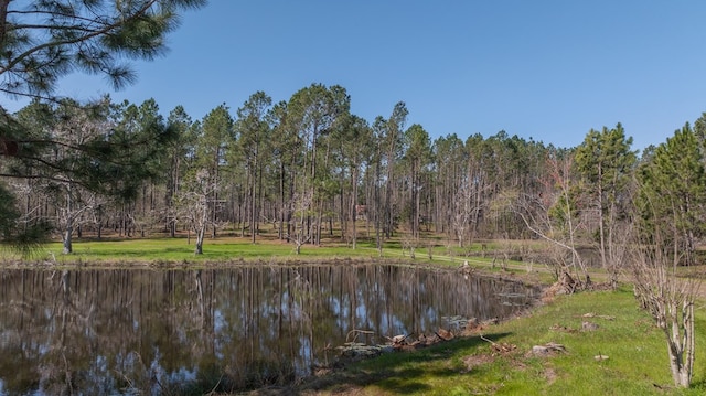 126 Oscar Patton Ests, Ambrose, GA 31512 - photo 4