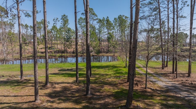126 Oscar Patton Ests, Ambrose, GA 31512 - photo 44