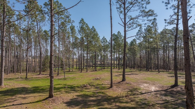 126 Oscar Patton Ests, Ambrose, GA 31512 - photo 43