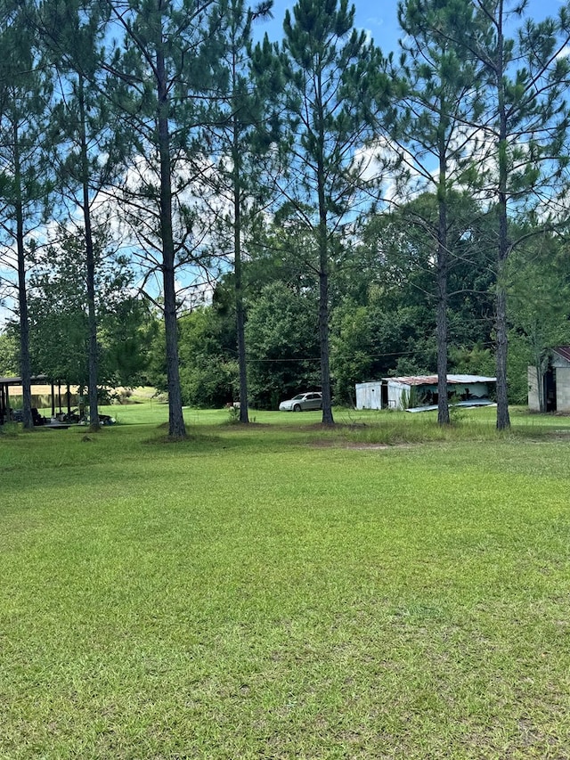 58 Honeysuckle Ln, Tifton, GA 31794 - photo 6
