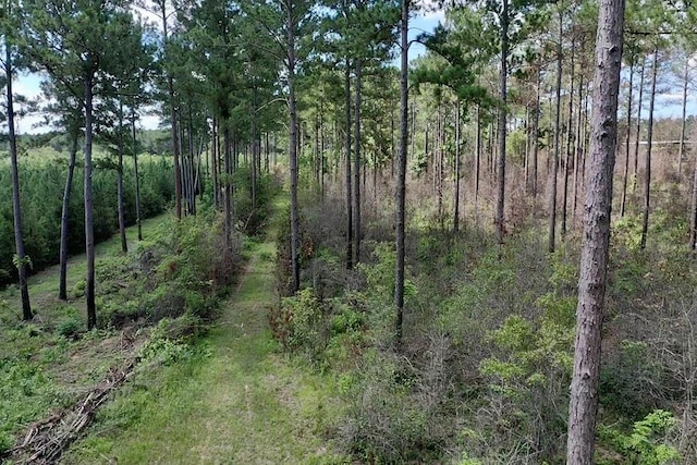 248 Gun Lake Loop, Tifton, GA 31794 - photo 64
