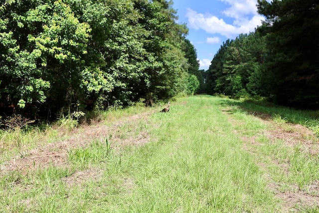 248 Gun Lake Loop, Tifton, GA 31794 - photo 70