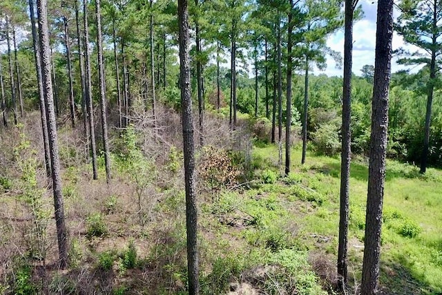 248 Gun Lake Loop, Tifton, GA 31794 - photo 69