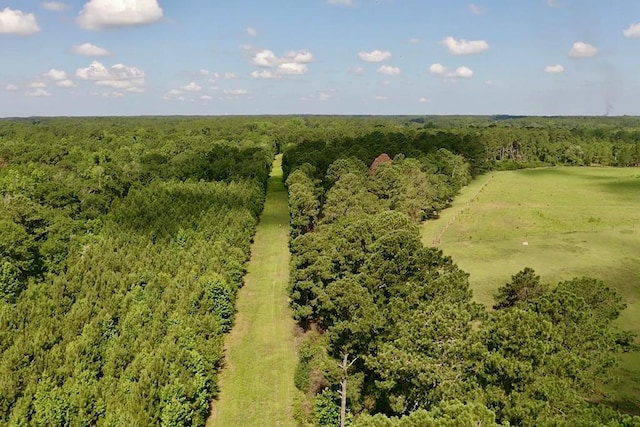 248 Gun Lake Loop, Tifton, GA 31794 - photo 44