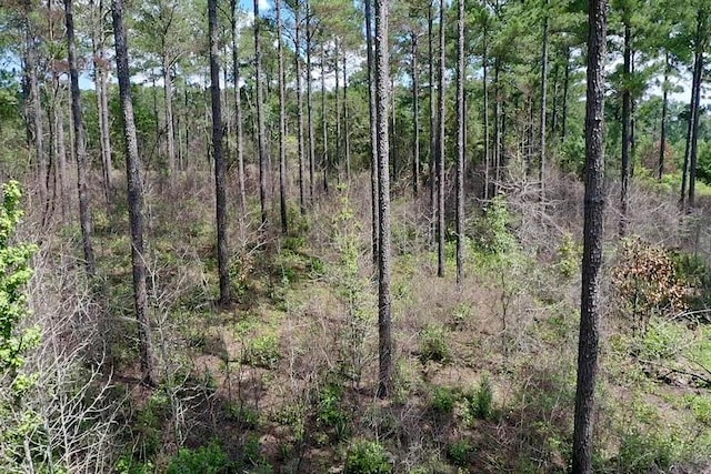 248 Gun Lake Loop, Tifton, GA 31794 - photo 67