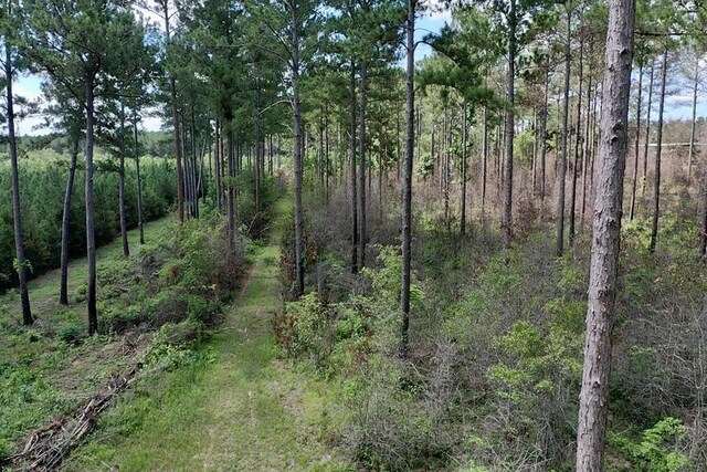 248 Gun Lake Loop, Tifton, GA 31794 - photo 65