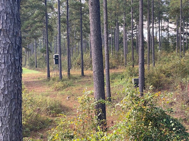 248 Gun Lake Loop, Tifton, GA 31794 - photo 21
