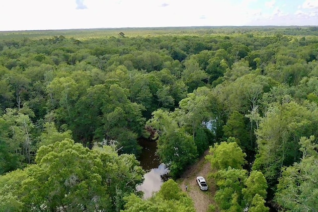 248 Gun Lake Loop, Tifton, GA 31794 - photo 58