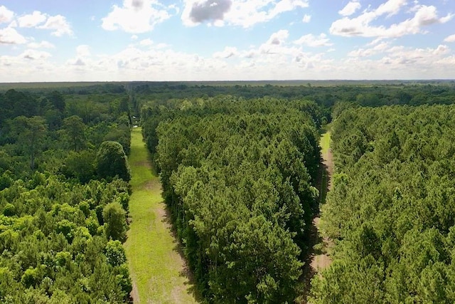 248 Gun Lake Loop, Tifton, GA 31794 - photo 41