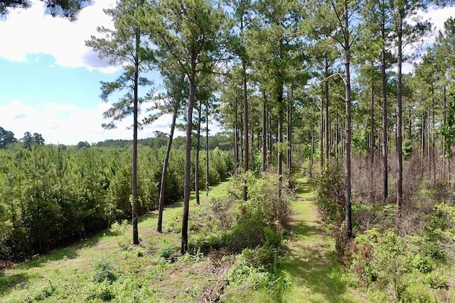 248 Gun Lake Loop, Tifton, GA 31794 - photo 60