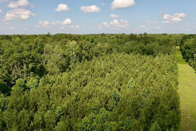 248 Gun Lake Loop, Tifton, GA 31794 - photo 45