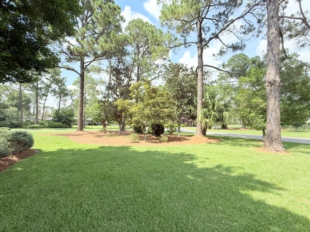 302 W 26th St, Tifton, GA 31794 - view of grassy yard with view of scattered trees