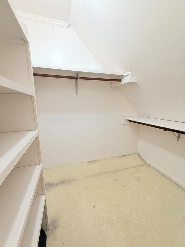 302 W 26th St, Tifton, GA 31794 - walk in closet featuring carpet