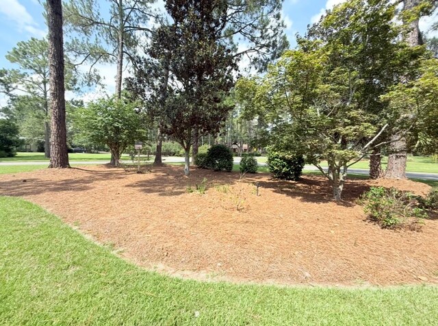 302 W 26th St, Tifton, GA 31794 - view of grassy yard
