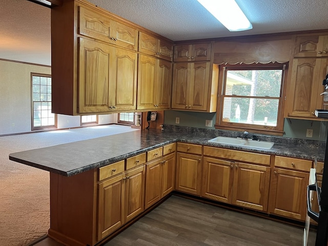 411 Haley Ave, Ashburn, GA 31714 - photo 74