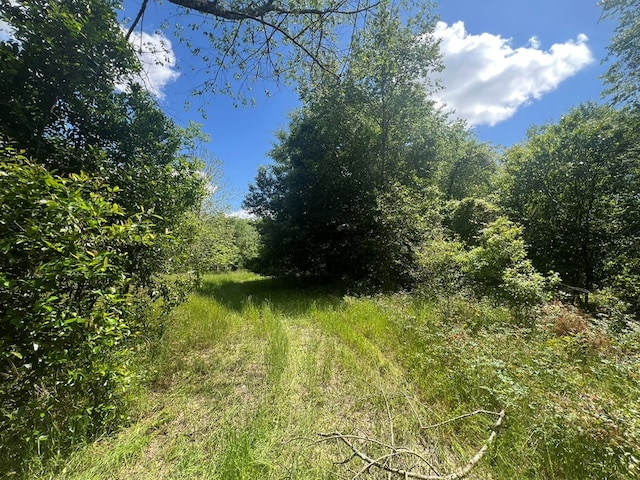 579/447 Amboy Rebecca Rd, Rebecca, GA 31783