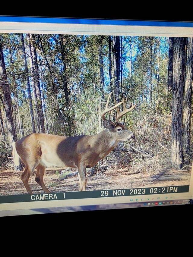 265 Williford Rd, Rebecca, GA 31783 - photo 34