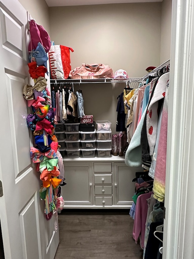 spacious closet featuring dark wood finished floors