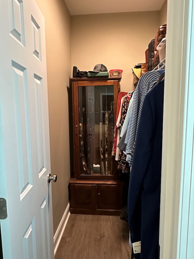 walk in closet with wood finished floors
