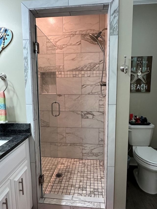 bathroom featuring vanity, toilet, and a stall shower