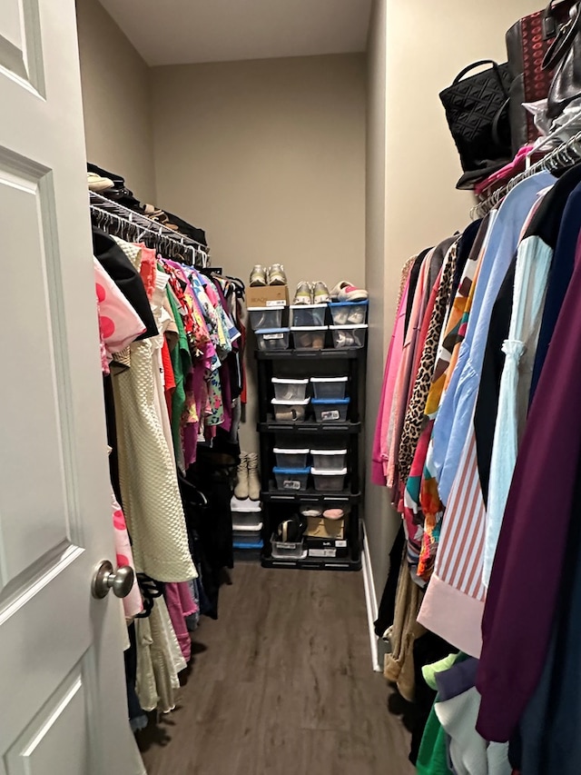 spacious closet featuring wood finished floors