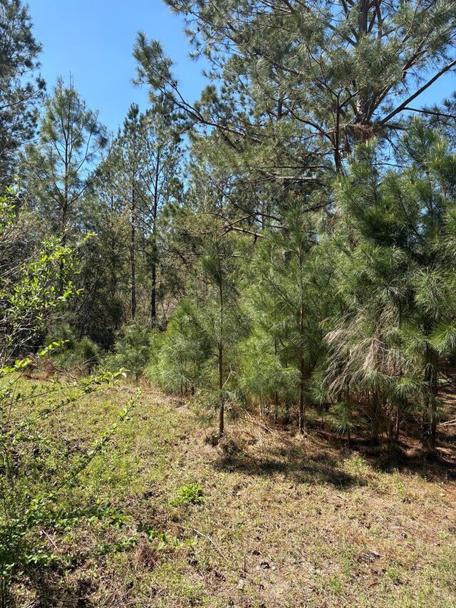 455 Patricia Ln, Ray City, GA 31645 - photo 4