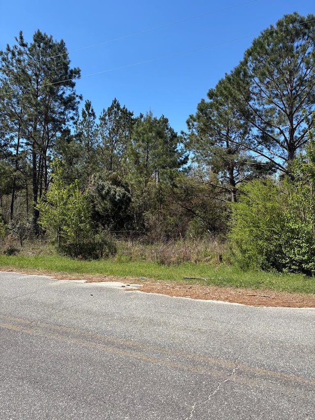 455 Patricia Ln, Ray City, GA 31645 - photo 6