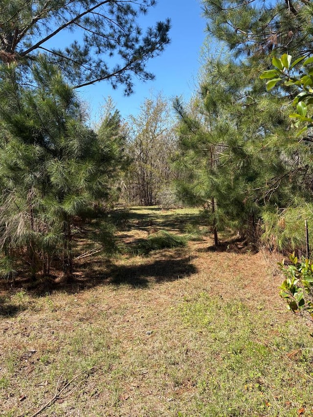 455 Patricia Ln, Ray City, GA 31645 - photo 1