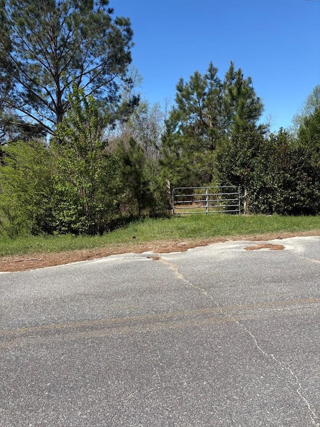 455 Patricia Ln, Ray City, GA 31645 - photo 2