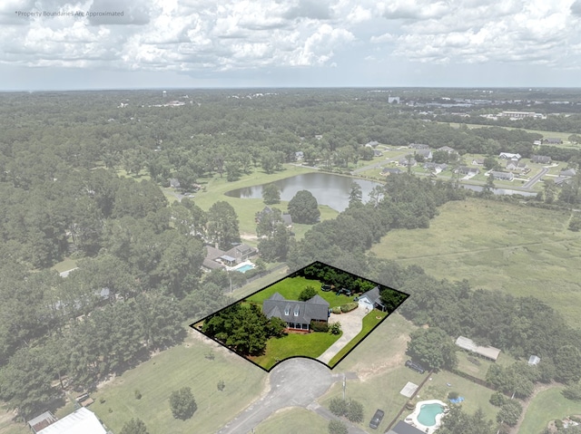 114 Creole Ct, Fitzgerald, GA 31750 - aerial overview of property's location with a large body of water and property boundaries highlighted
