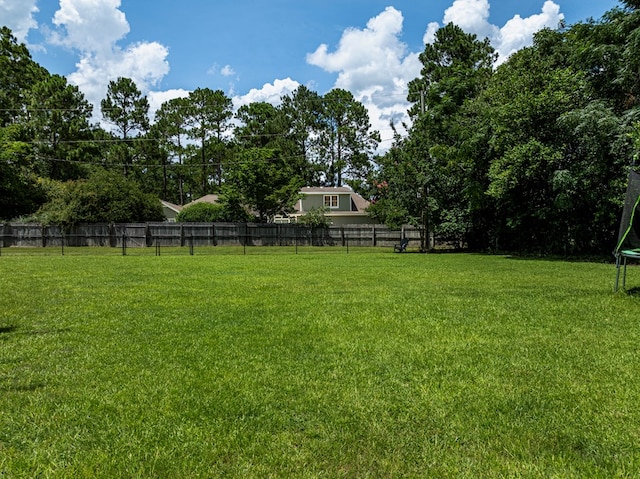 114 Creole Ct, Fitzgerald, GA 31750 - view of yard with a trampoline
