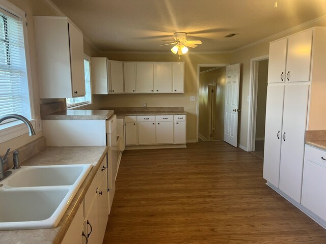 kitchen with ornamental molding, white cabinetry, ceiling fan, a sink, and wood finished floors