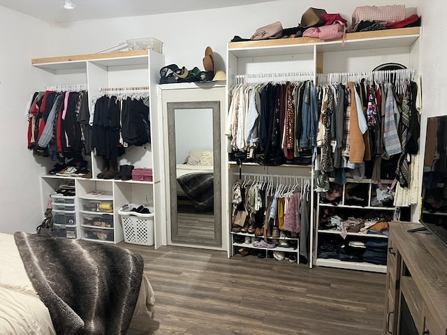 walk in closet featuring wood finished floors
