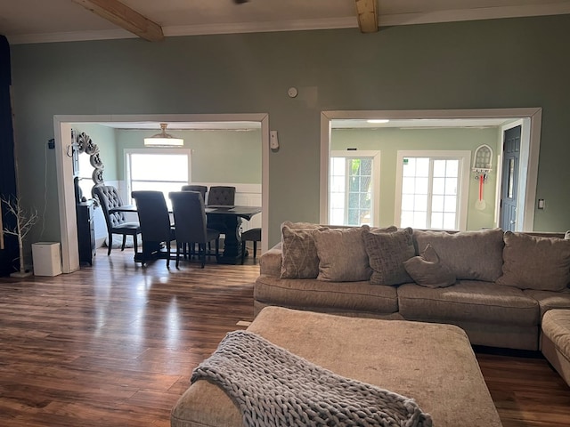 living area with dark wood-type flooring, beamed ceiling, and ornamental molding