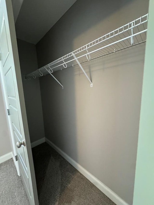 564 Osprey Cir, Tifton, GA 31794 - view of closet
