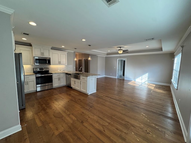 564 Osprey Cir, Tifton, GA 31794 - kitchen with appliances with stainless steel finishes, a peninsula, open floor plan, a tray ceiling, and decorative backsplash