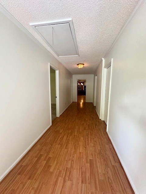 237 Dewey Mcglamry Rd, Fitzgerald, GA 31750 - corridor with attic access, a textured ceiling, light wood-type flooring, and ornamental molding