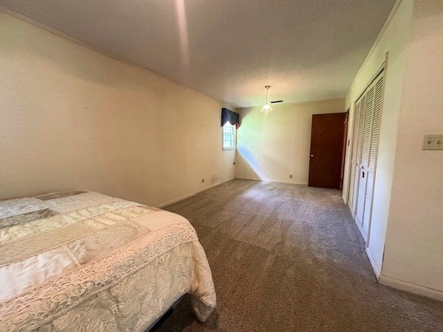 237 Dewey Mcglamry Rd, Fitzgerald, GA 31750 - carpeted bedroom with baseboards and a closet