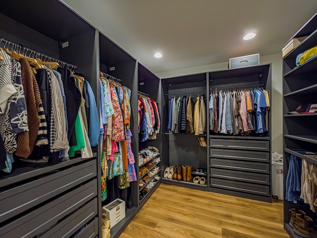 113 N Pointe Dr, Fitzgerald, GA 31750 - spacious closet featuring light wood-style flooring
