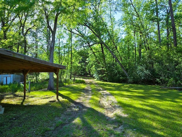 358 Camp Brooklyn Rd, Fitzgerald, GA 31750 - view of green lawn featuring a forest view