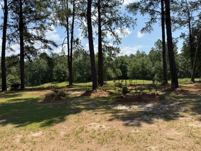 218 Sutton Rd, Tifton, GA 31794 - view of nature