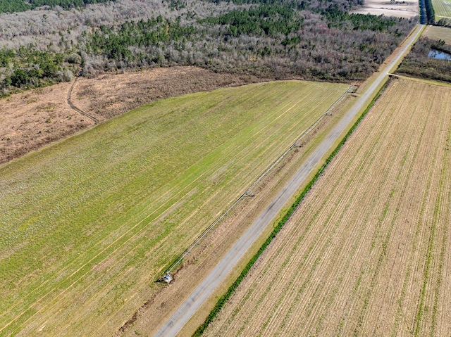 720 Vanceville County Line Rd, Tifton, GA 31794 - photo 12
