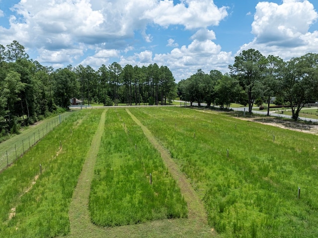 255 Stocks Dairy Rd, Leesburg, GA 31763 - photo 63