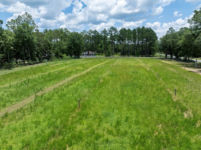 255 Stocks Dairy Rd, Leesburg, GA 31763 - photo 62