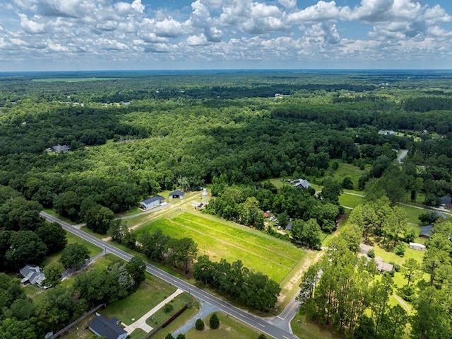 255 Stocks Dairy Rd, Leesburg, GA 31763 - photo 69