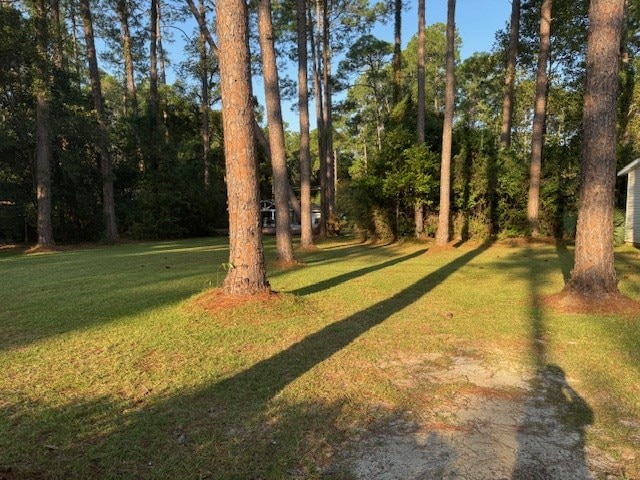 602 20th St, Tifton, GA 31794 - view of yard