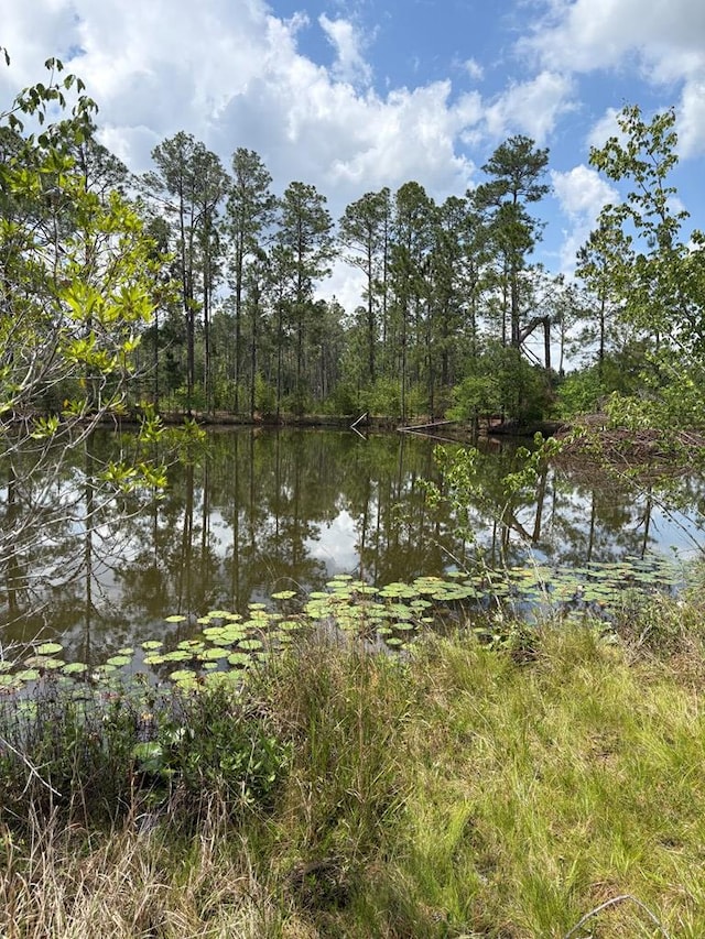 view of water feature