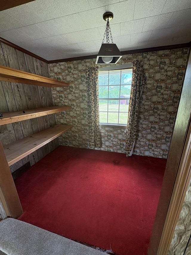 interior space featuring carpet
